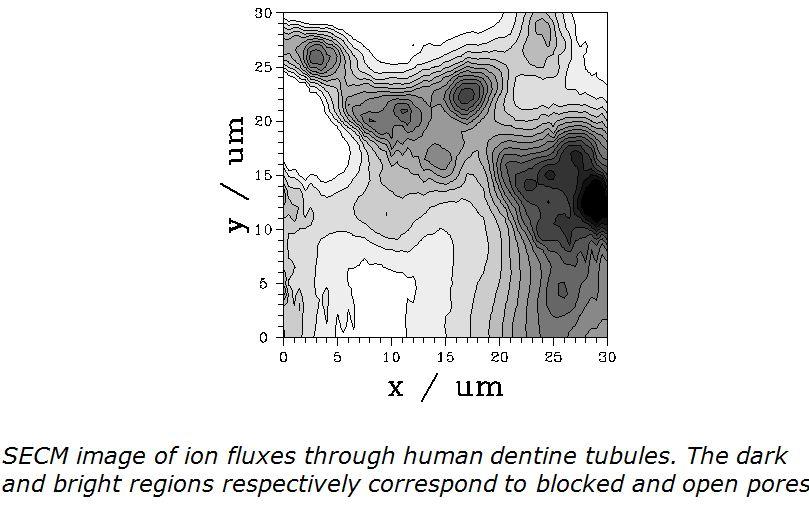 scanning_electrochemical_microscopy_SECM Chemistry University of